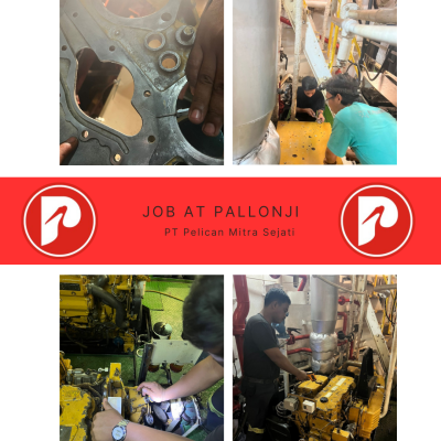 Job at Pallonji