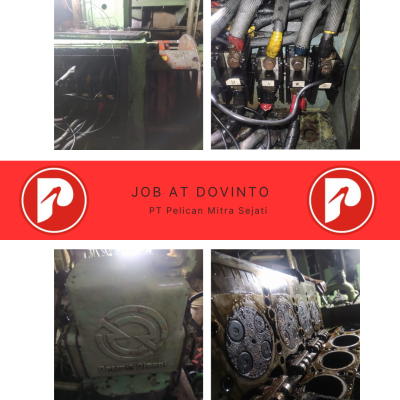 Job at Donvito